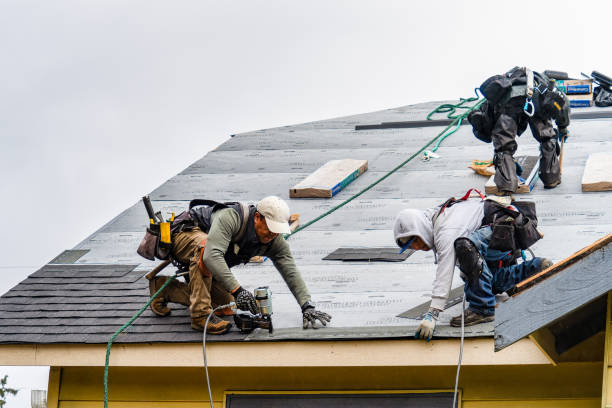 Professional Flat Roof Repair technician working in Pittsboro, MS